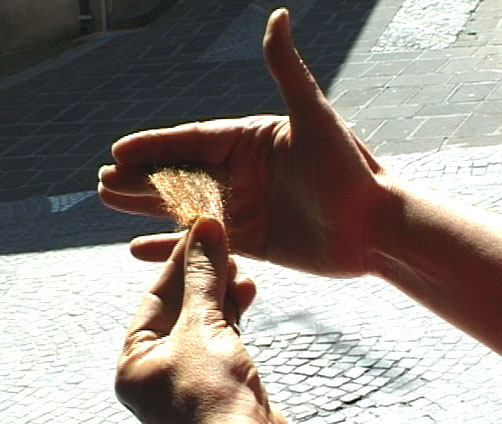 image de canevas